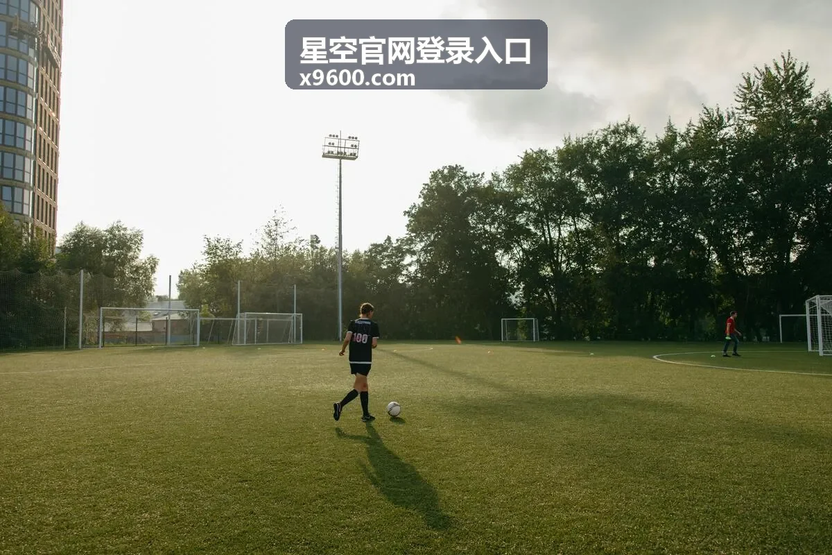 星空官网影视热播封面之三